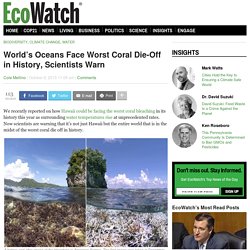 World's Oceans Face Worst Coral Die-Off in History, Scientists Warn