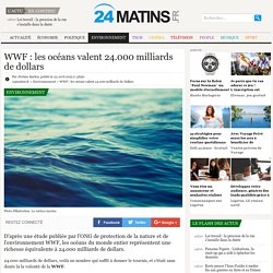 WWF : les océans valent 24.000 milliards de dollars