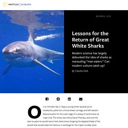 Oceans on Nautilus: Lessons for the Return of Great White Sharks