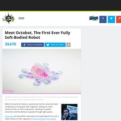 Meet Octobot, The First Ever Fully Soft-Bodied Robot