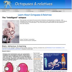 OCTOPUSES & RELATIVES: THE "INTELLIGENT" OCTOPUS