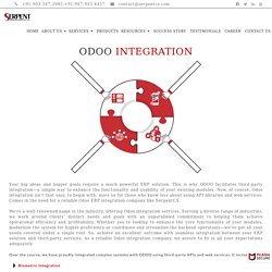 Odoo ECommerce Integration