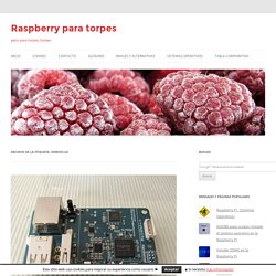 Raspberry para torpes