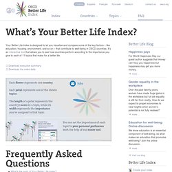 What’s Your Better Life Index?