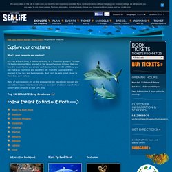 *Official* SEA LIFE Bray - Explore our Creatures
