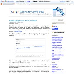 Behold Google index secrets, revealed!