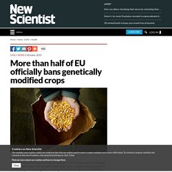 More than half of EU officially bans genetically modified crops