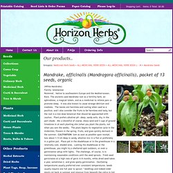 Mandrake, officinalis seeds, organic, in stock!
