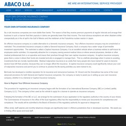 Your Own Offshore Insurance Company