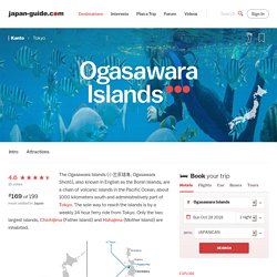 Ogasawara Islands Travel Guide