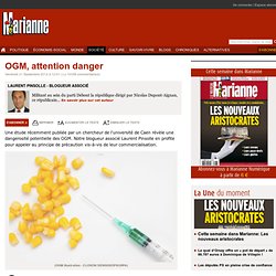 OGM, attention danger