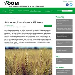 OGM ou pas ? Le point sur le blé Renan - Inf'OGM