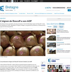 FRANCE 3 BRETAGNE 27/09/13 L'oignon de Roscoff a son AOP
