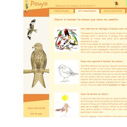 Les oiseaux en fiches, coloriages, photos et dessins avec Pouyo