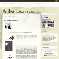 karateblogger.com