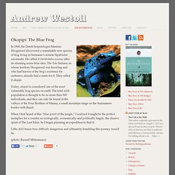 Okopipi: The Blue Frog