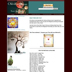 Magickal Quiz: Celtic Tree Meanings