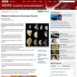 Oldest evidence of arrows found
