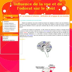 VI - Le cerveau et l'olfaction : vérification de la logique de nos résultats