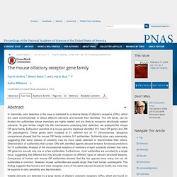 The mouse olfactory receptor gene family