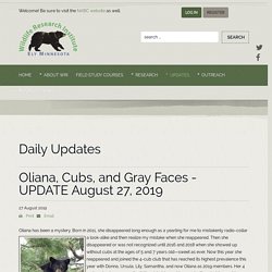 Oliana, Cubs, and Gray Faces - UPDATE August 27, 2019