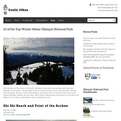 10 of the Top Winter Hikes: Olympic National Park