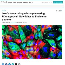 Loxo Oncology's cancer drug wins a pioneering FDA approval