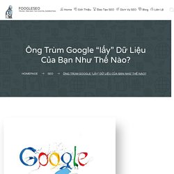 Ông Trùm Google “lấy” Dữ Liệu Của Bạn Như Thế Nào? - FOOGLESEO