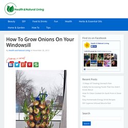 How To Grow Onions On Your Windowsill