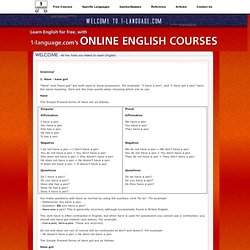 Online English Course - Unit 19 Have/Have got