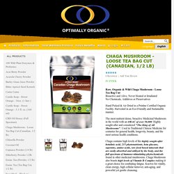 Buy Chaga Mushroom Supplement