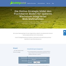 Online-Strategie Beratung - Sunny One