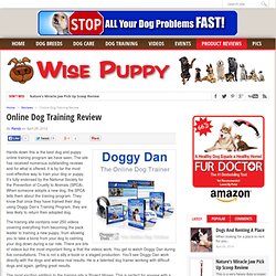 Online Dog Training Review - Wise Puppy