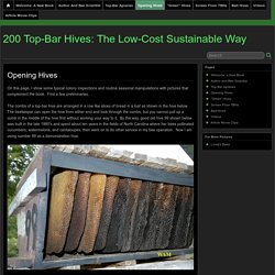 Opening Hives » 200 Top-Bar Hives: The Low-Cost Sustainable Way