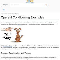Operant Conditioning Examples