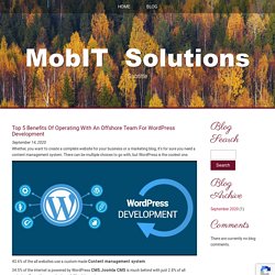 Top 5 Benefits Of Operating With An Offshore Team For WordPress Development
