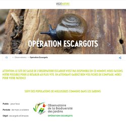 Opération Escargots