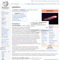 Ophidiidae