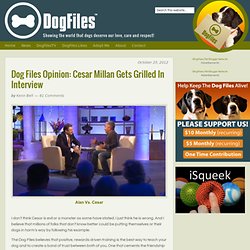 Dog Files Opinion: Cesar Millan Gets Grilled In Interview