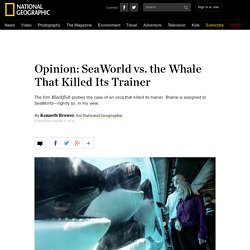 Opinion: SeaWorld vs. the Whale That Killed Its Trainer