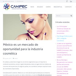 México es un mercado de oportunidad para la industria cosmética - CANIPEC