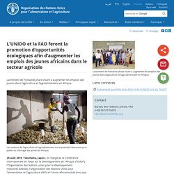 - Nouvelles: L’UNIDO et la FAO feront la promotion d’opportunités écologiques afin d’augmenter les emplois des jeunes africains dans le secteur agricole