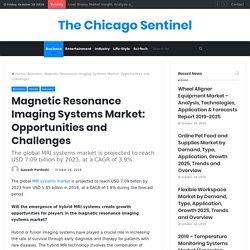 Magnetic Resonance Imaging Systems Market: Opportunities and Challenges – The Chicago Sentinel