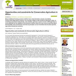 Opportunities and constraints for Conservation Agriculture in Africa