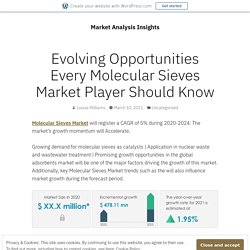 Evolving Opportunities Every Molecular Sieves Market Player Should Know – Market Analysis Insights