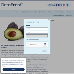 IQF Avocado and new business opportunities