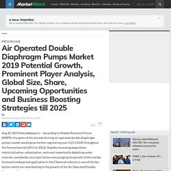 Air Operated Double Diaphragm Pumps Market 2019 Potential Growth, Prominent Player Analysis, Global Size, Share, Upcoming Opportunities and Business Boosting Strategies till 2025