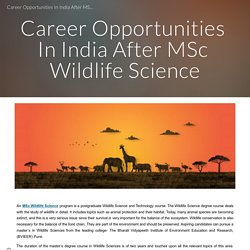 Career Opportunities In India After MSc Wildlife Science