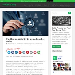 Find big opportunity in a small market niche - Crowds.io Blog