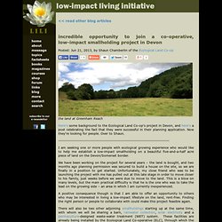 blog - opportunity to join a low-impact smallholding in Devon